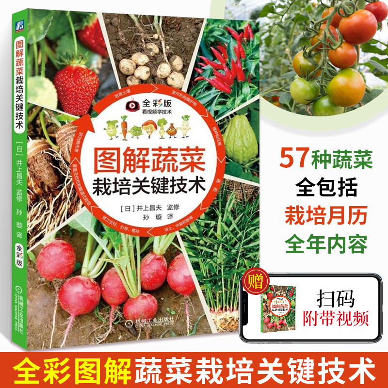 图解蔬菜栽培关键技术蔬菜种植技术大全农业种植无土栽培技术大棚水培