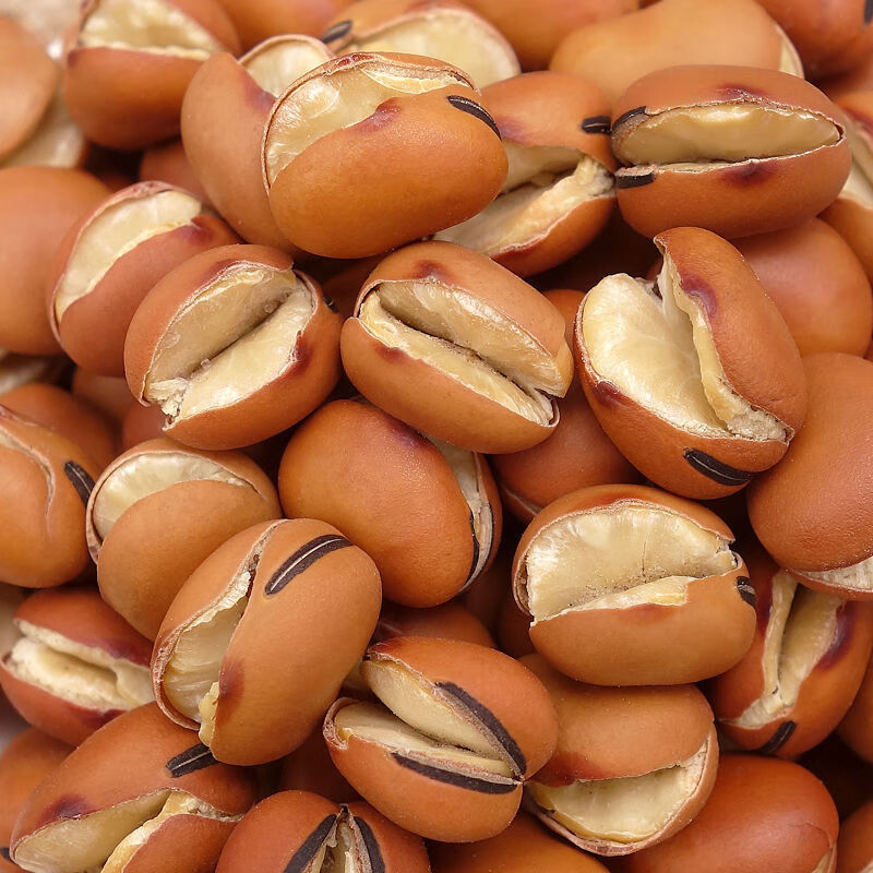 tlxt农家炒蚕豆干炒胡豆原味小香酥炒货休闲小吃散装零食 原味蚕豆 2