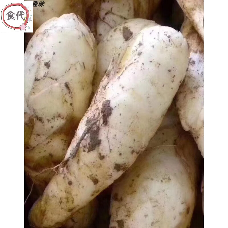 千畅安潮汕特产东京薯丸竹薯圆粉丸冬笋薯粉薯粉丸细米薯菱薯500g