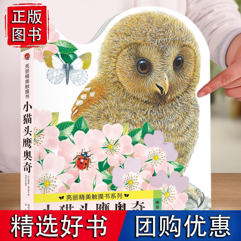 亮丽精美触摸书 小猫头鹰奥奇