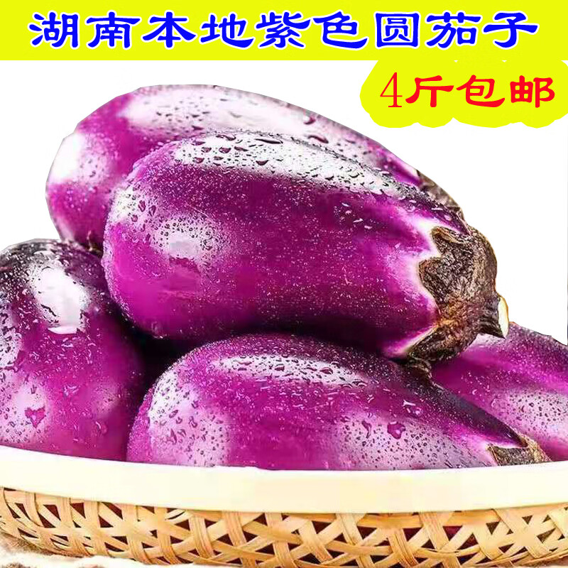 农家紫色圆茄子4斤 本地自种土短茄子现摘发新鲜蔬菜 1500g