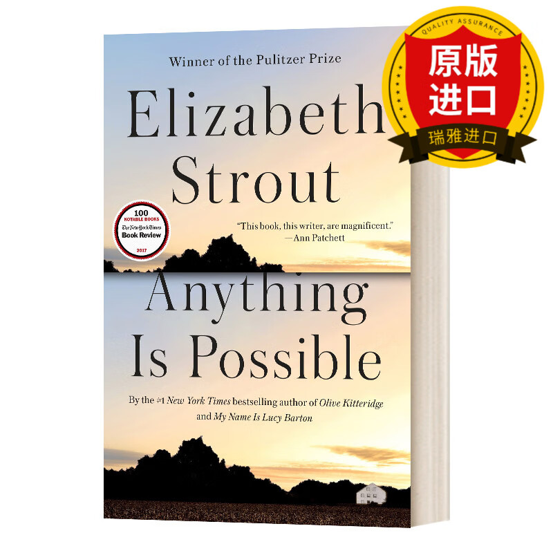 英文原版 小说 anything is possible 一切皆有可能 英文版 elizabeth