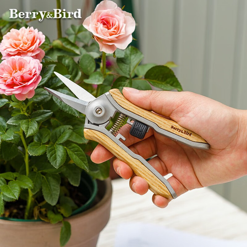 berry&bird木柄园艺剪刀家用盆栽插花卉修枝剪子切花绿植小型省力 木