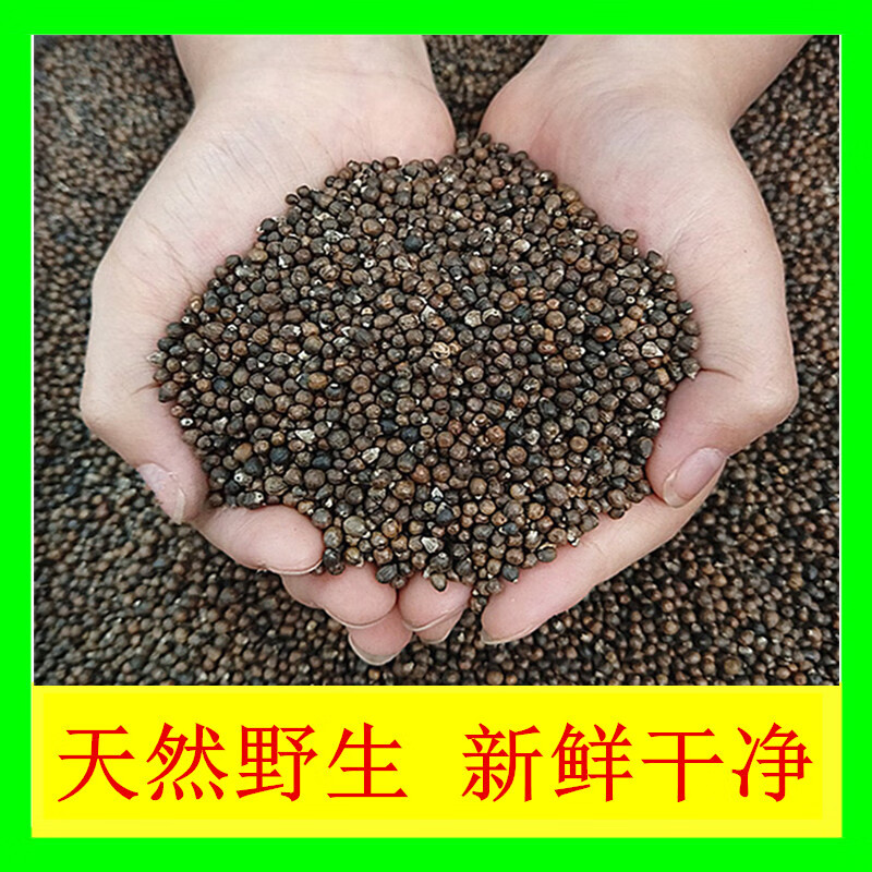 优依福黄荆子枕头客家梅州野生布惊籽枕头黄荆子枕头黄金籽做枕头布惊