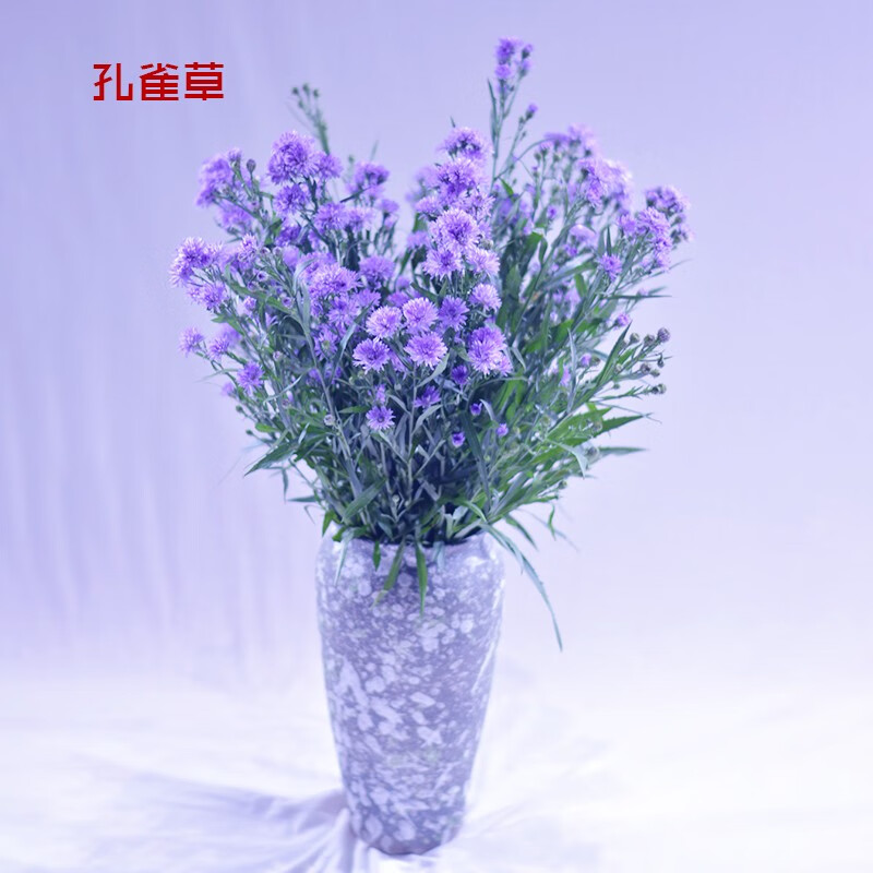 [悦多彩] 鲜花速递 洋甘菊 马蹄莲 蓝星花 爱情花  进口凤梨 水仙百合