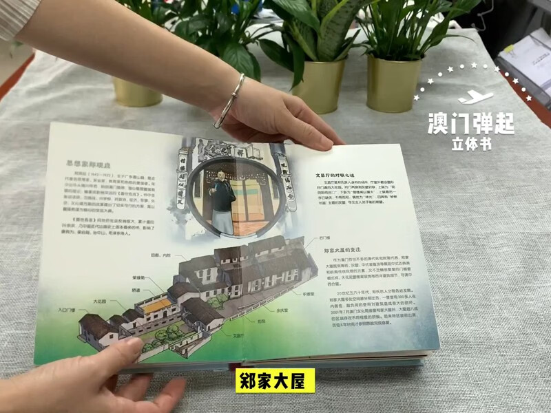 澳门弹起详情图