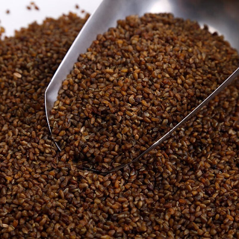 咖咪龙新货苦荞米5斤大凉山黑苦荞米云南曲靖苦荞米珍珠胚芽米 5斤大