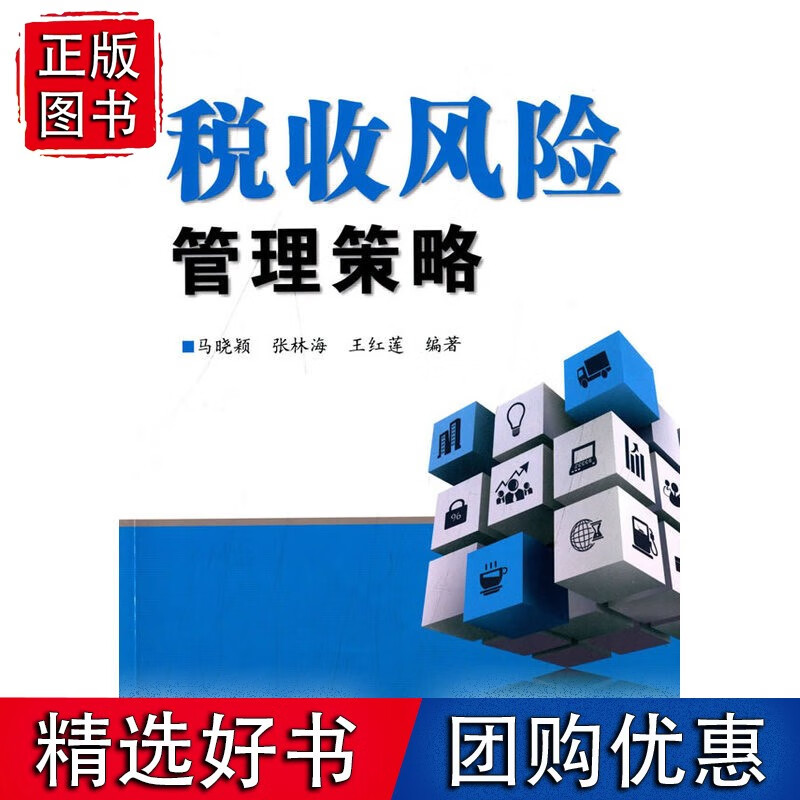 税收风险管理策略