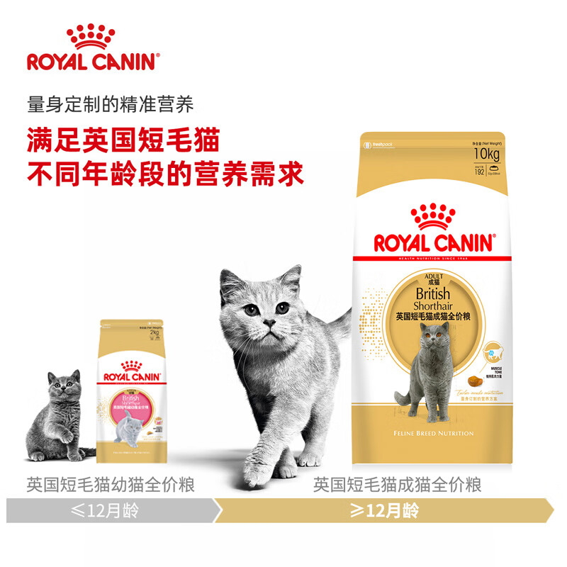 ROYAL CANIN 皇家猫粮 BS34英国短毛猫成猫猫粮 通用粮10kg 英短猫粮 增强肌肉力量