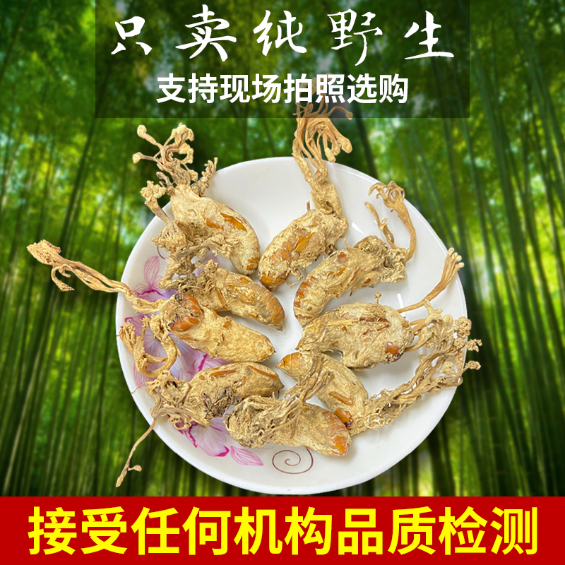 金蝉花中药材竹林正宗新货知了花可打粉泡酒虫草粉金蝉花250克 花250