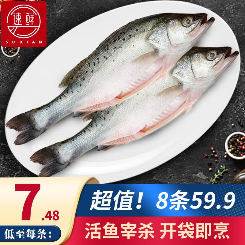 速鲜（SuXian）三去白蕉海鲈鱼冷冻鱼类海鲜去鳃去鳞去内脏 净重250克（双条装）*4袋属于什么档次？