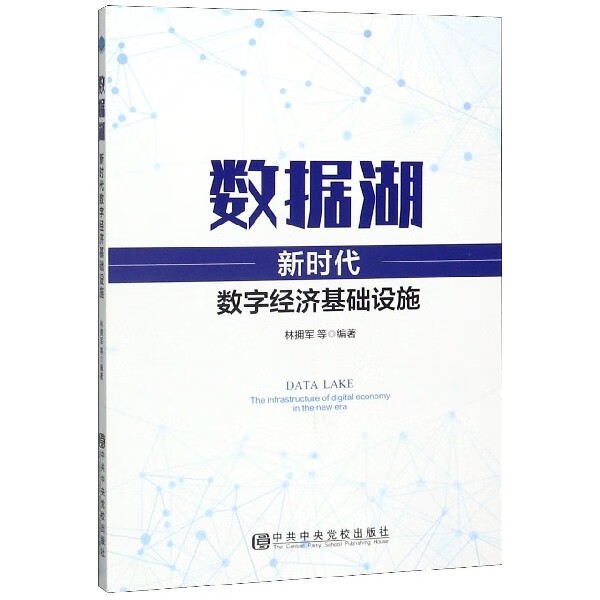 数据湖(新时代数字经济基础设施)