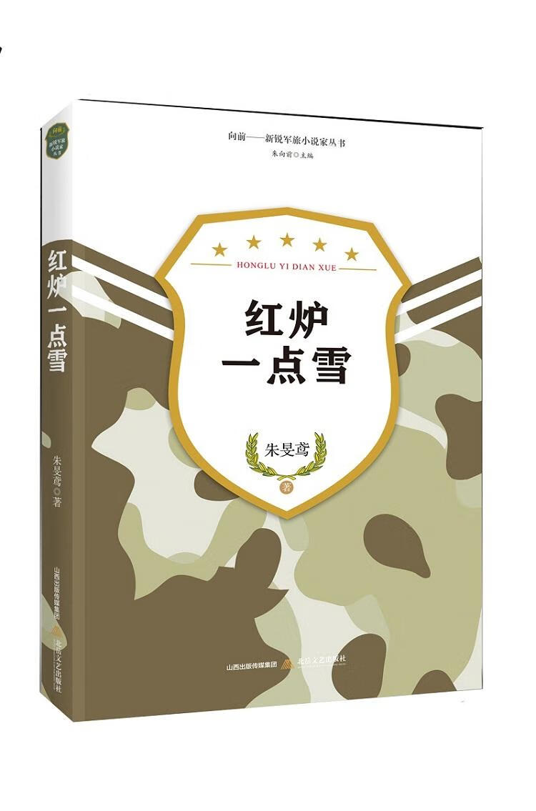 红炉一点雪 小说 朱旻鸢著 北岳文艺出版社