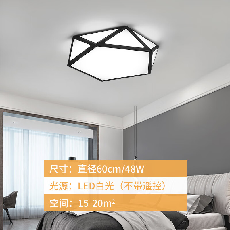 灯诺堡主卧室灯led吸顶灯大气客厅灯创意餐厅灯房间儿童灯灯具简约现代 黑色-60cm-白光 京东折扣/优惠券