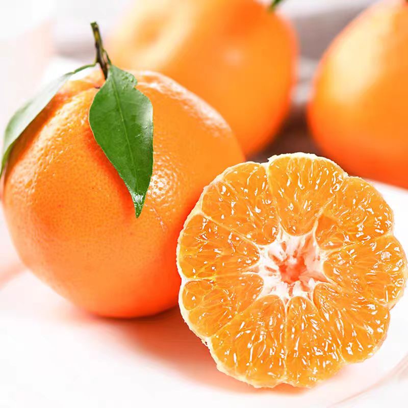 金百粟四川春见耙耙柑 当季新鲜水果粑粑柑生鲜丑桔橘子现摘整箱 净重4.5斤【80mm+】果农精选送礼