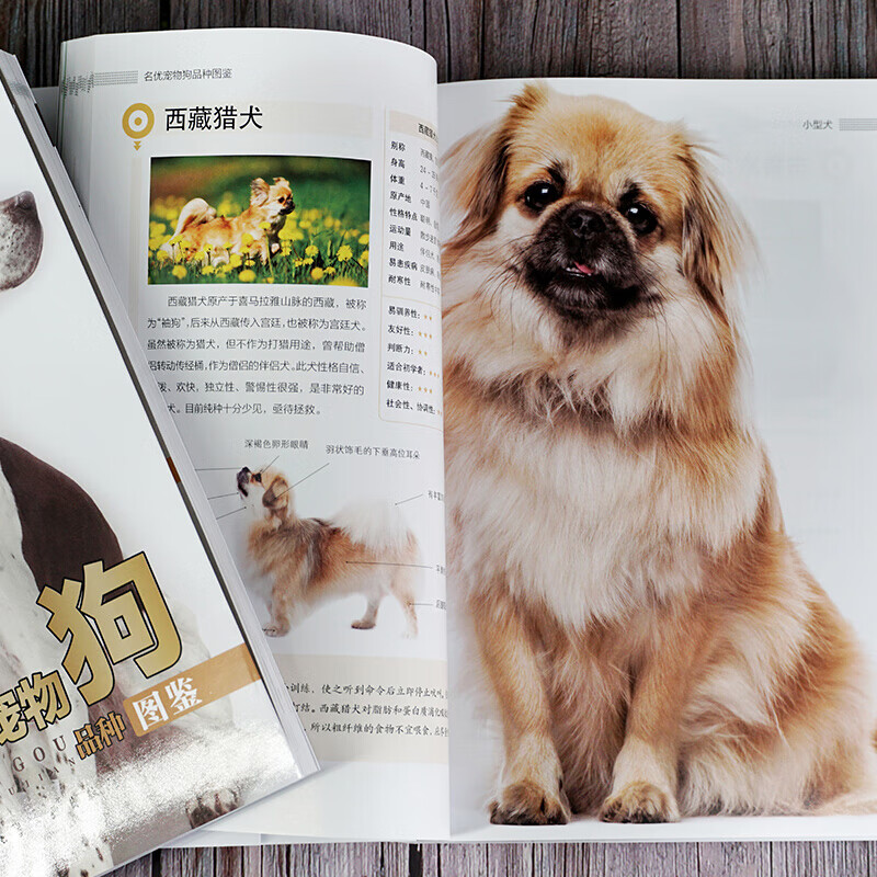 宠物大本营-名优宠物狗品种图鉴