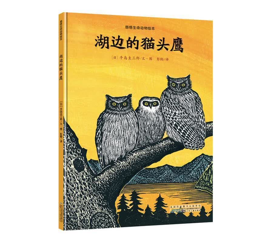 感悟生命动物绘本:湖边的猫头鹰 (日)手岛圭三郎【正版】