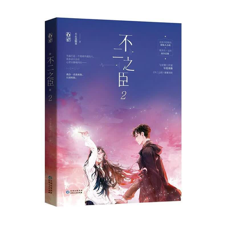 不二之臣2 青春文学  9787221158543