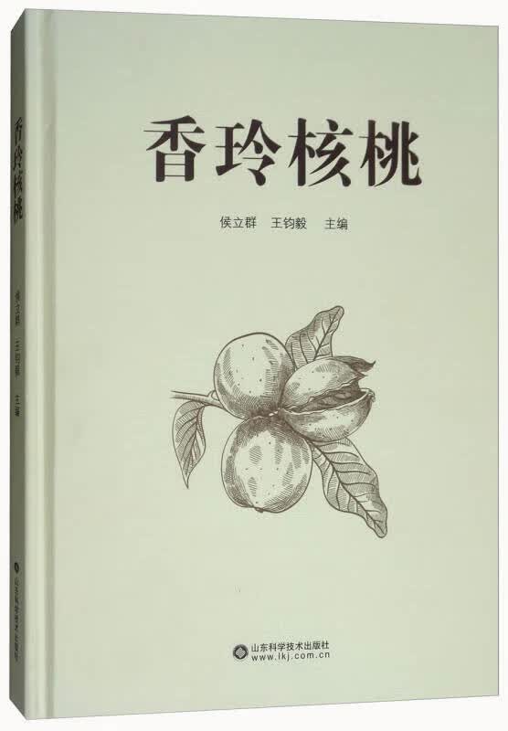 香玲核桃【正版精选】