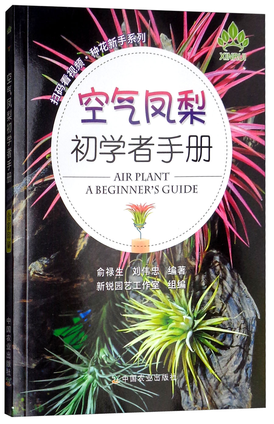 空气凤梨初学者手册/扫码看视频·种花新手系列