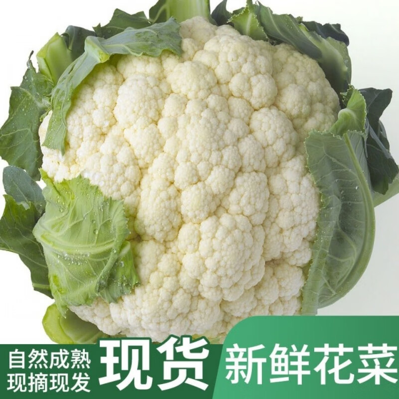 菜花 相关京东优惠商品排行榜 4 价格图片品牌优惠券 虎窝购