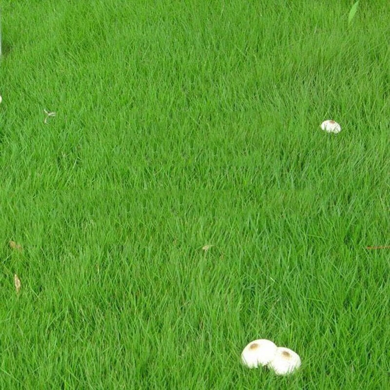 花草林木类历史价格最低点|花草林木类价格走势图