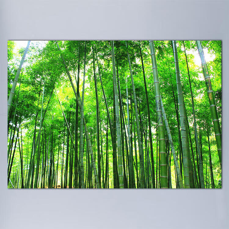 真实山水竹子风景图片