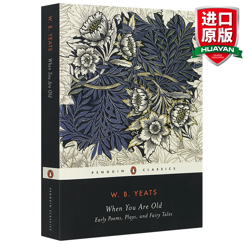 英文原版 当你老了 When You Are Old Early Poems叶芝早期诗歌戏剧童话故事