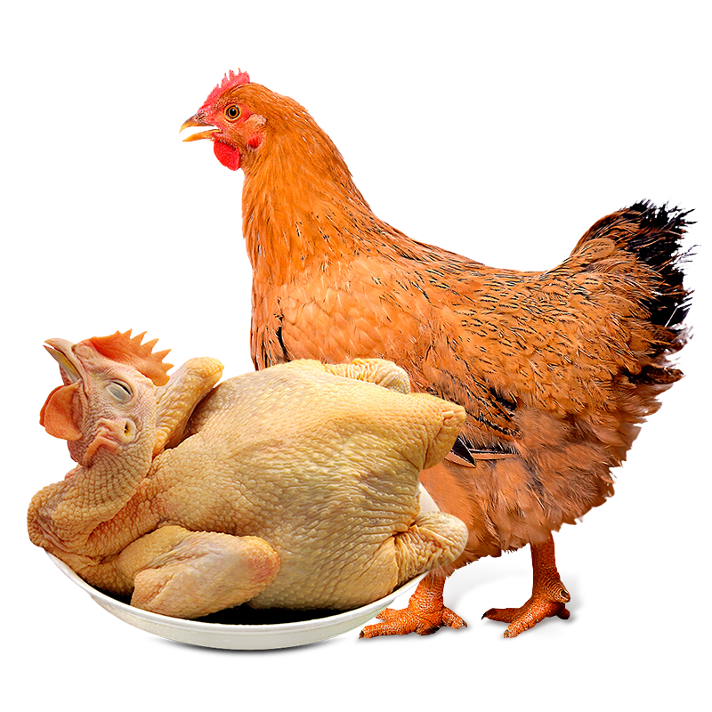 温氏家禽类怎么样 打工人的大餐_什么值得买