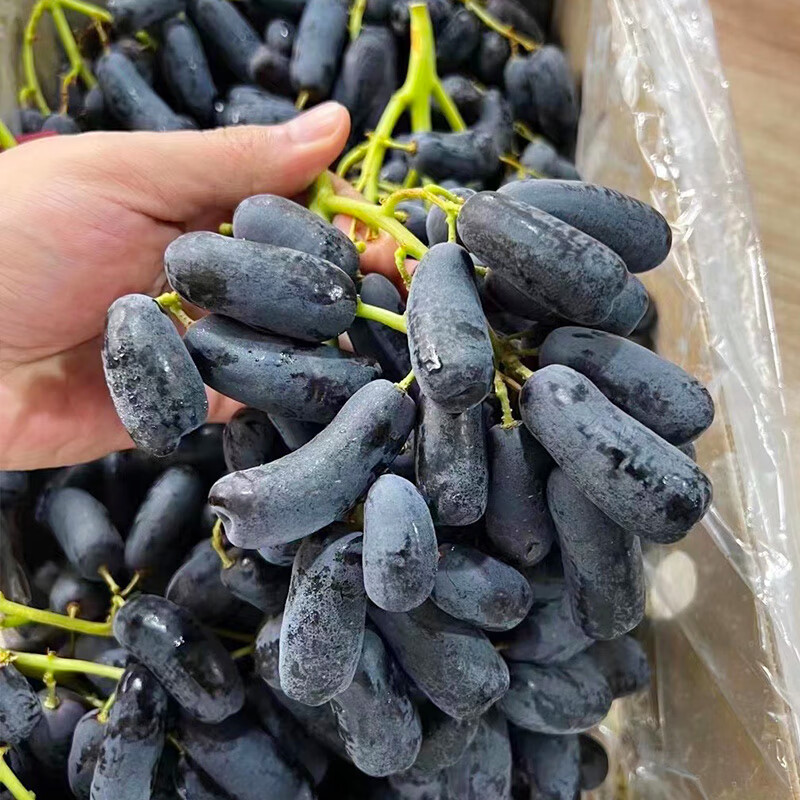 澳洲手指葡萄无籽黑提孕妇当季新鲜水果 2斤