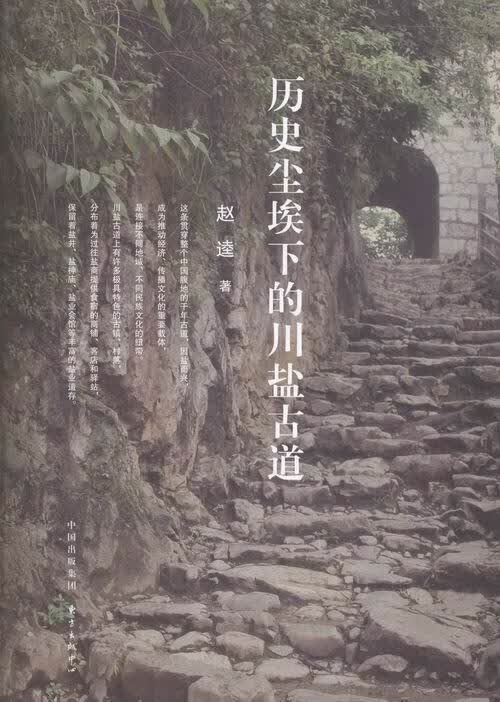 历史尘埃下的川盐古道 历史 赵逵著 东方出版中心