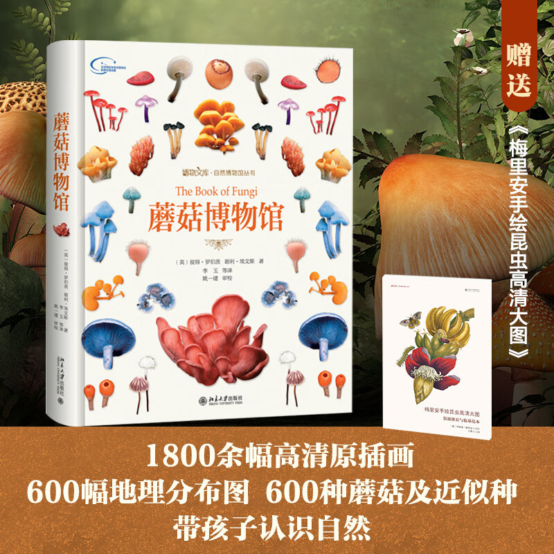 蘑菇博物馆 随机赠送《梅里安手绘昆虫高清大图》赠完即止 蘑菇博物大百科 博物文库