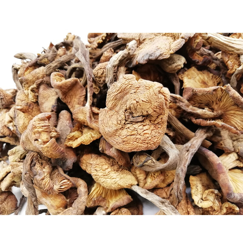 东北榛蘑干货500g土特产小鸡炖蘑菇去根农家真么棒农产品新货 500g