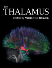 预订 the thalamus