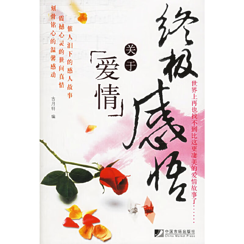 正版现货 终极感悟9787509200063中国市场
