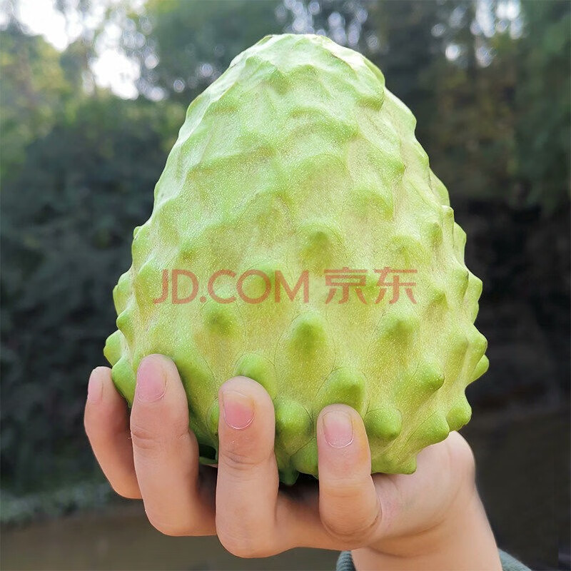 MDNG牛奶凤梨释迦果新鲜水果当季整箱佛头果番荔枝大果 精选释迦果5斤 单果150-250g怎么样,好用不?