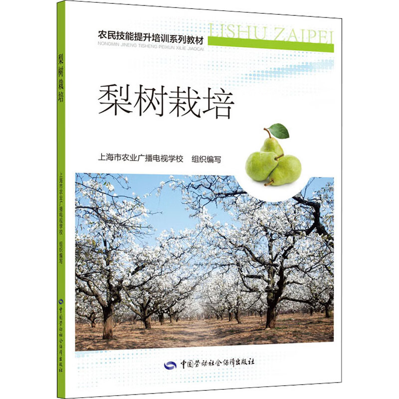 梨树栽培