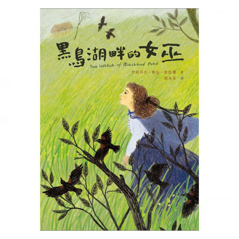 现货台版 黑鸟湖畔的女巫 经典小说描述对自我价及归属的追寻