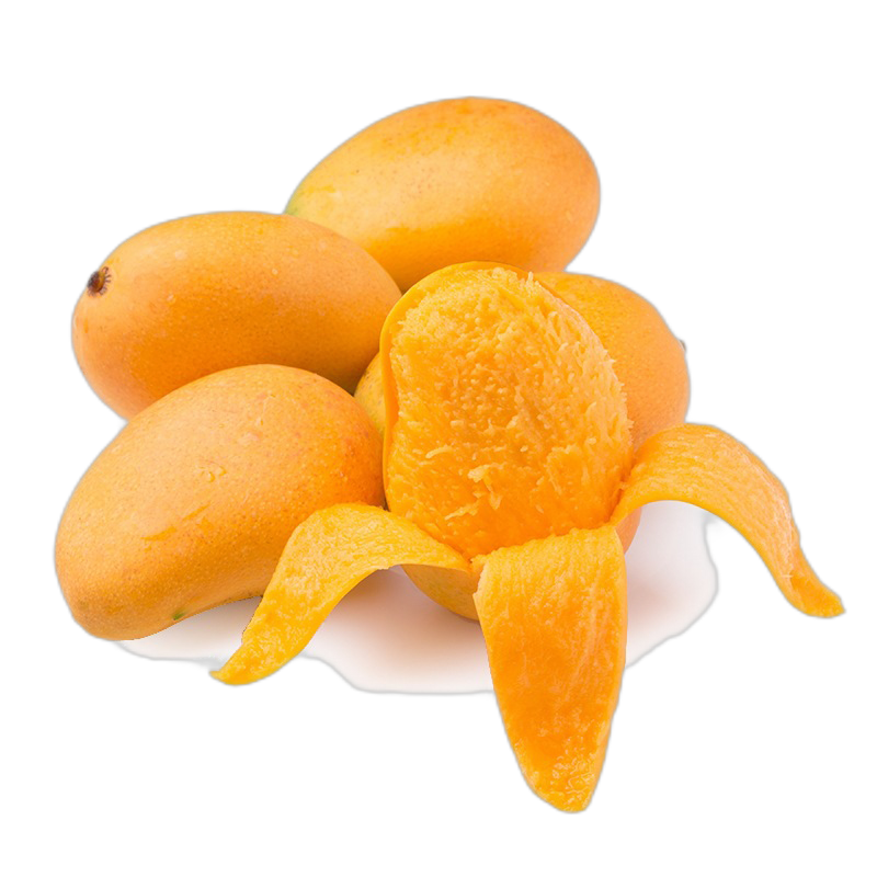 ڲũС̨ũâժСâˮ亣С̨â 8.5 | 50-70g Դͷֱ18.7Ԫ