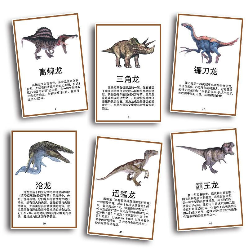 恐龙卡片认知卡幼侏罗纪史前闪卡教具闪卡 50张6寸塑封卡