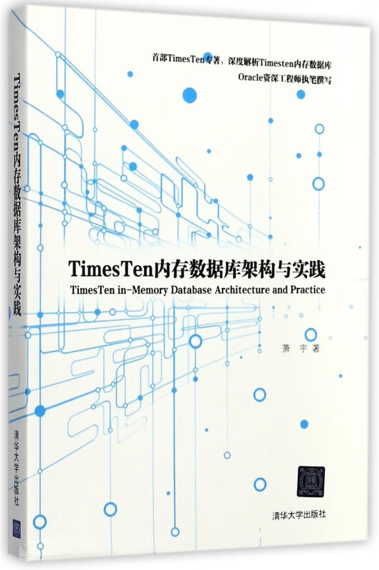 TimesTen内存数据库架构与实践