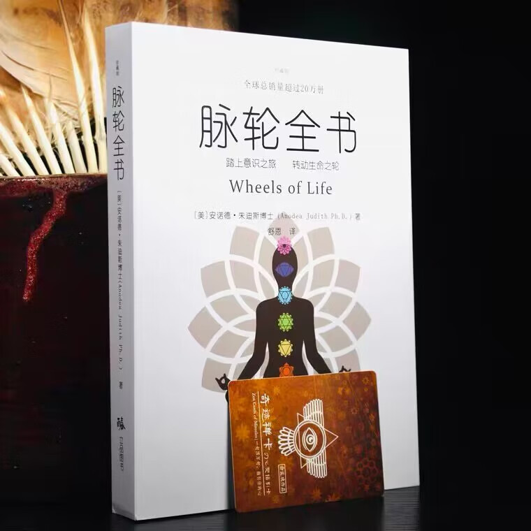 脉轮全书踏上意识之旅 简体版 胡因梦李欣频 朱迪斯正位瑜 正版书籍