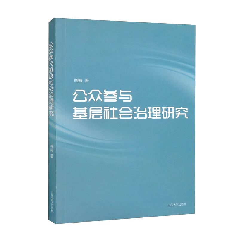 公众参与基层社会治理研究