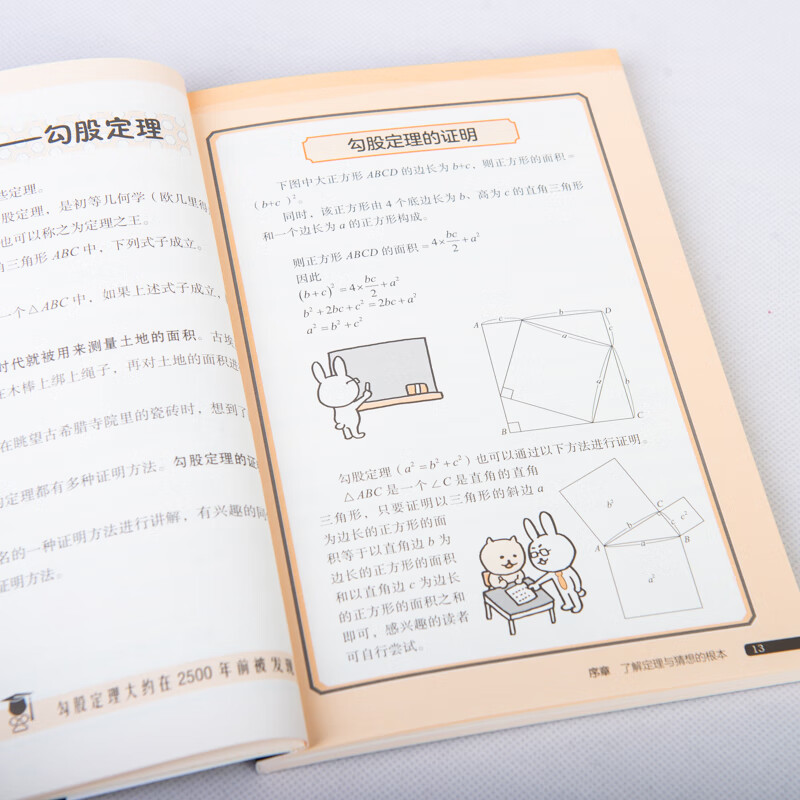 数学定理的奇妙世界