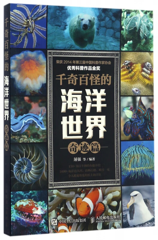 千奇百怪的海洋世界 奇迹篇 自然探索 海洋 动物
