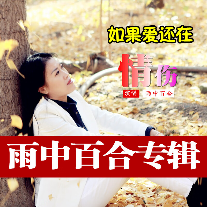diborton雨中百合 如果爱还在 专辑歌曲精选流行合集音乐usb汽车载u盘
