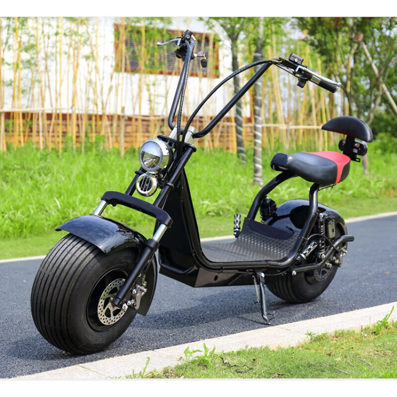 RUNTEMA哈雷电动车哈雷电瓶车成人电动自行车宽胎锂电车代步滑板车摩托车 X8裸车不含电池不 60V