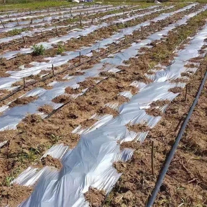 【精选】农用地膜黑色白色银黑双色地膜防草防虫草莓大棚地膜 11斤黑
