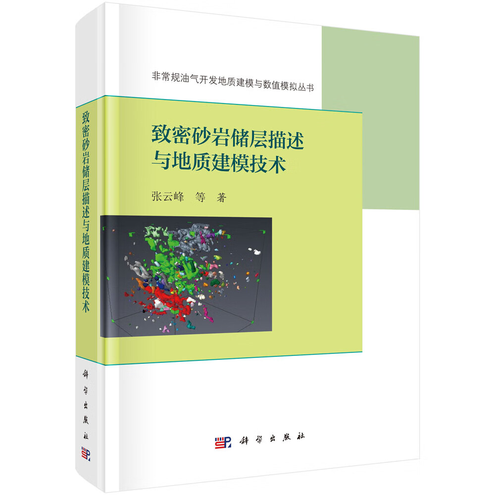 [正版图书]致密砂岩储层描述与地质建模技术