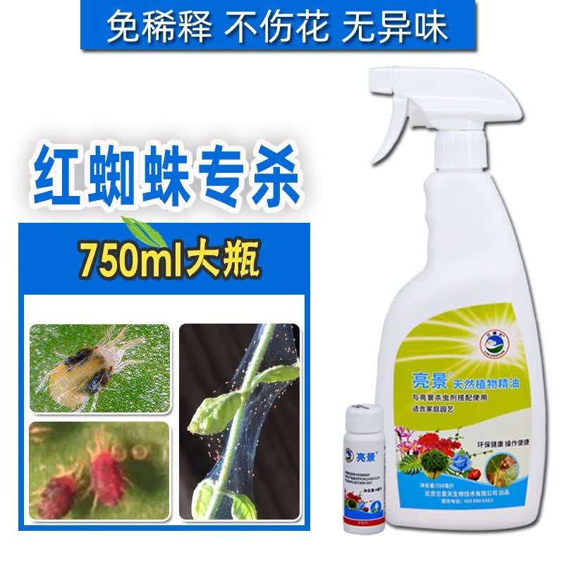 兰景天亮景花卉杀虫螨室内喷药月季玫瑰草莓蝴蝶兰白蜘蛛红蜘蛛二斑叶螨 亮景专杀红白蜘蛛使用感如何?